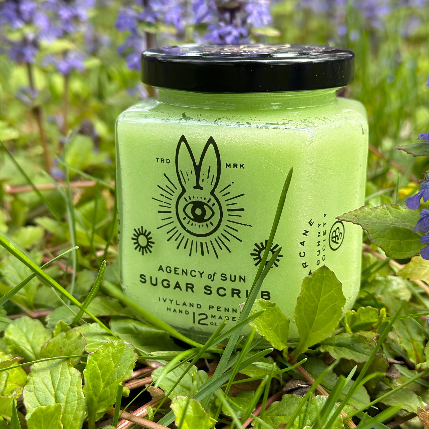 Guardian Shelly Oceansong (Shoop Bee Doo) Sugar Scrub