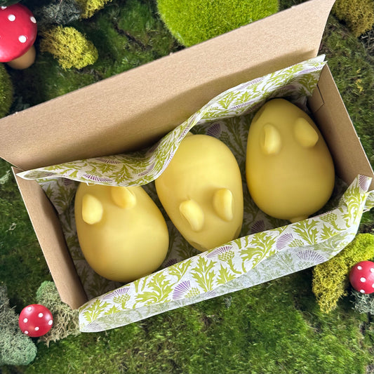 Sanctum's "According Day" Celebratory Baby Bun Soap Set