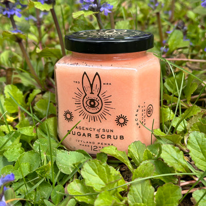 Architect Majoram Hedgebloom Sugar Scrub