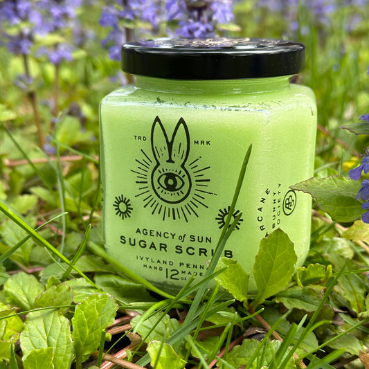 Guardian Shelly Oceansong (Shoop Bee Doo) Sugar Scrub