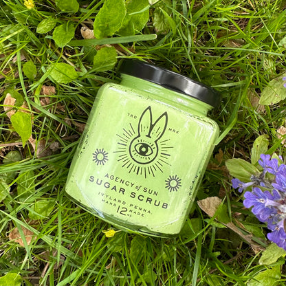 Exfoliante de azúcar Guardian Shelly Oceansong (Shoop Bee Doo)