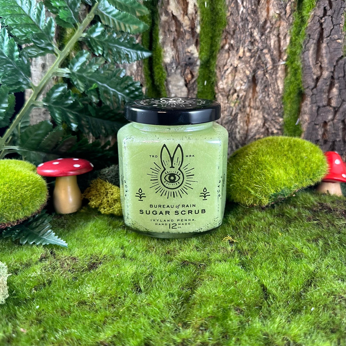 Caretaker Begonia Trunkmoss Sugar Scrub