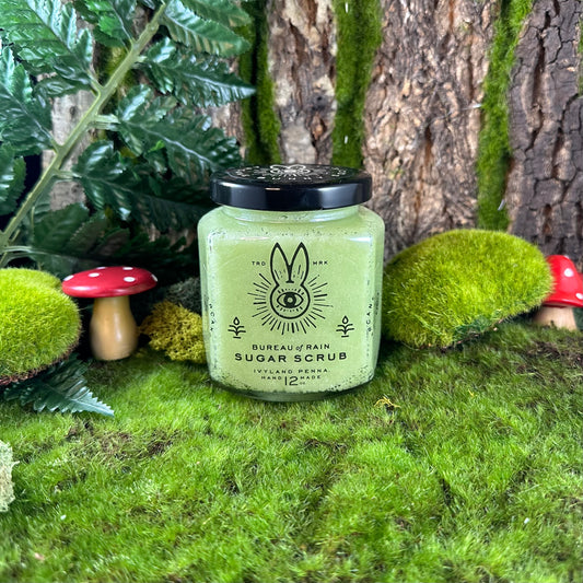 Caretaker Begonia Trunkmoss Sugar Scrub