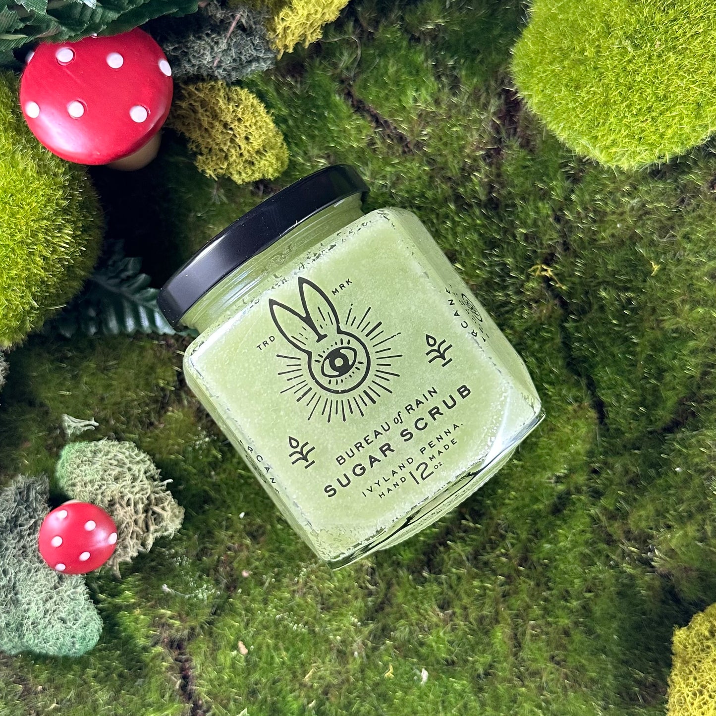 Caretaker Begonia Trunkmoss Sugar Scrub