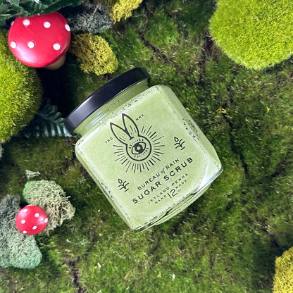 Caretaker Begonia Trunkmoss Sugar Scrub