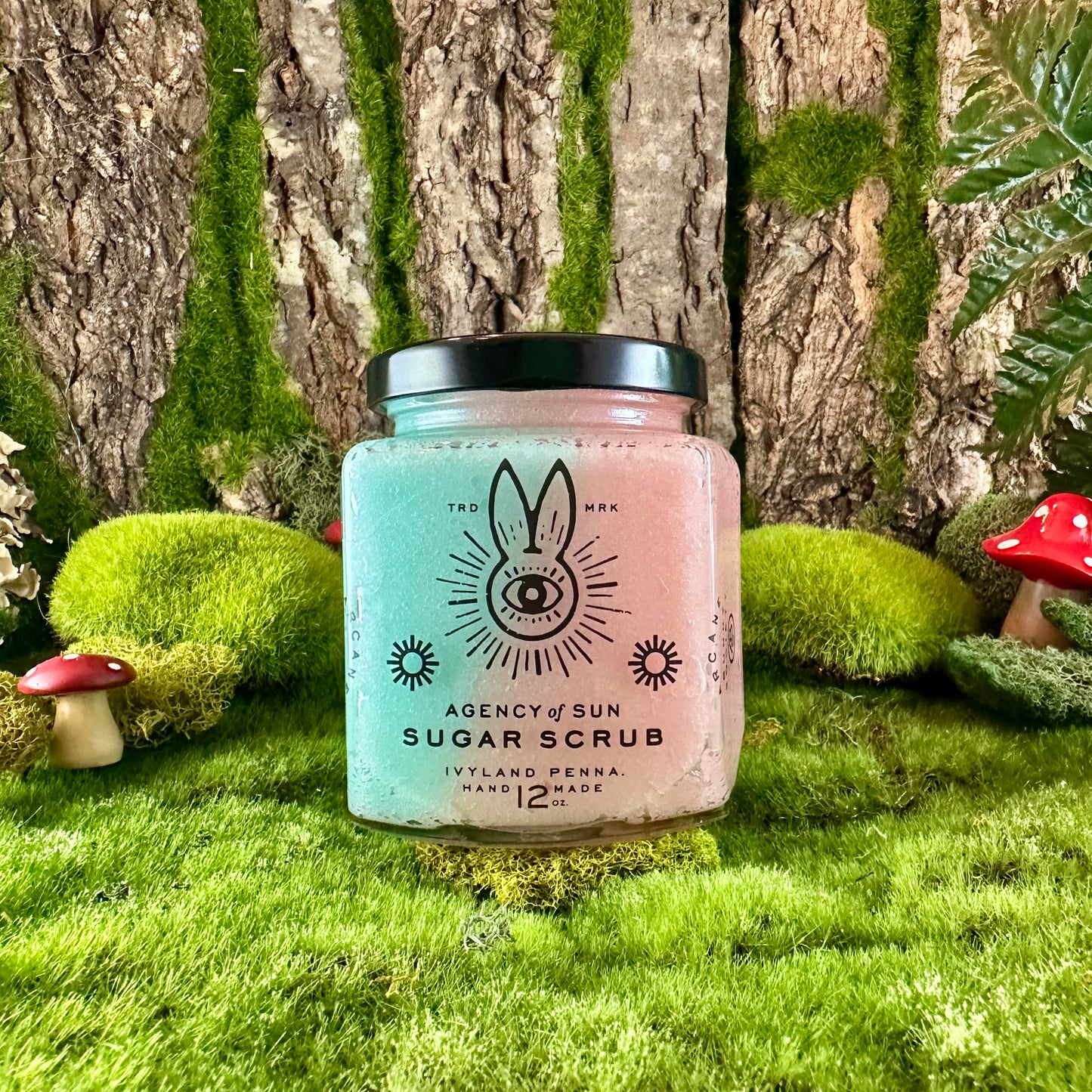 Glasser Berry Sugarweed Sugar Scrub