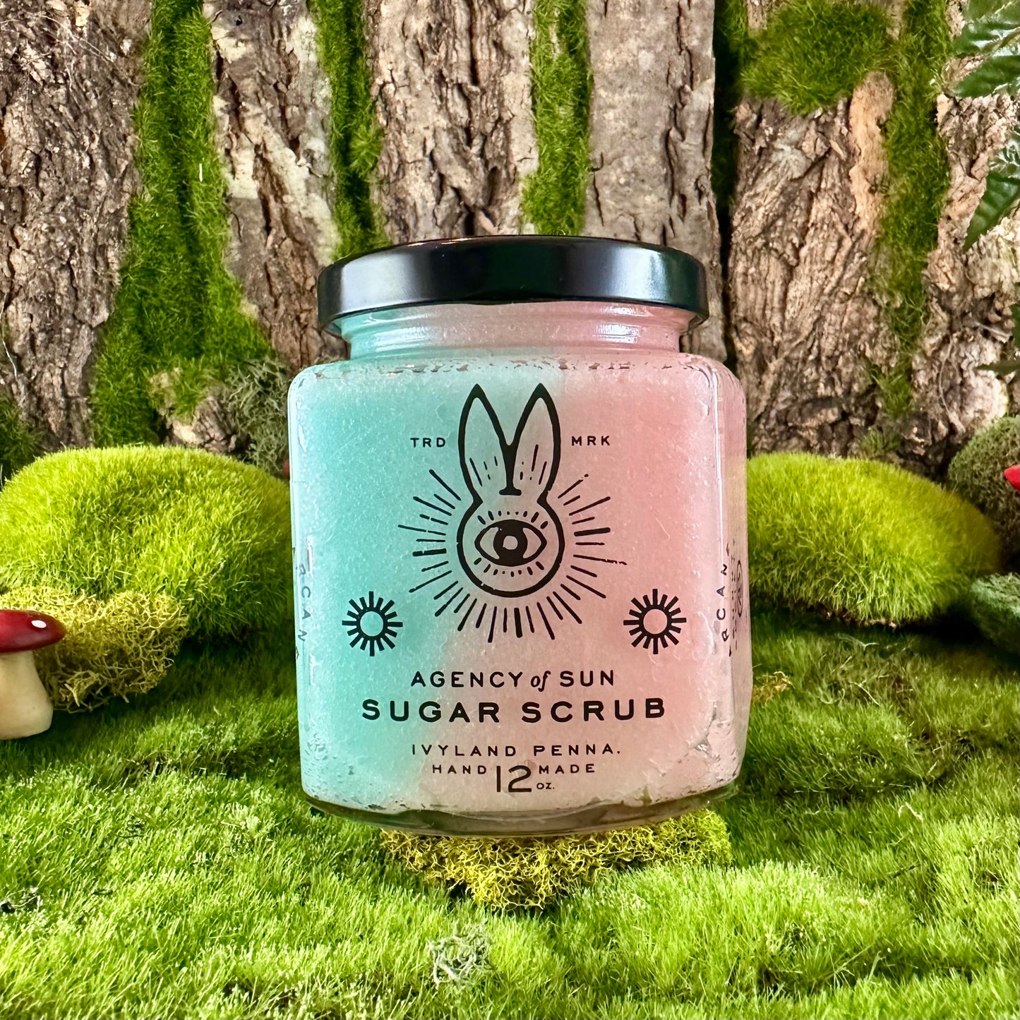 Glasser Berry Sugarweed Sugar Scrub