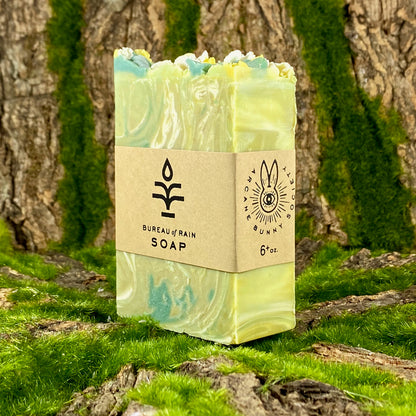 Forecaster Brooke Lightbloom Soap