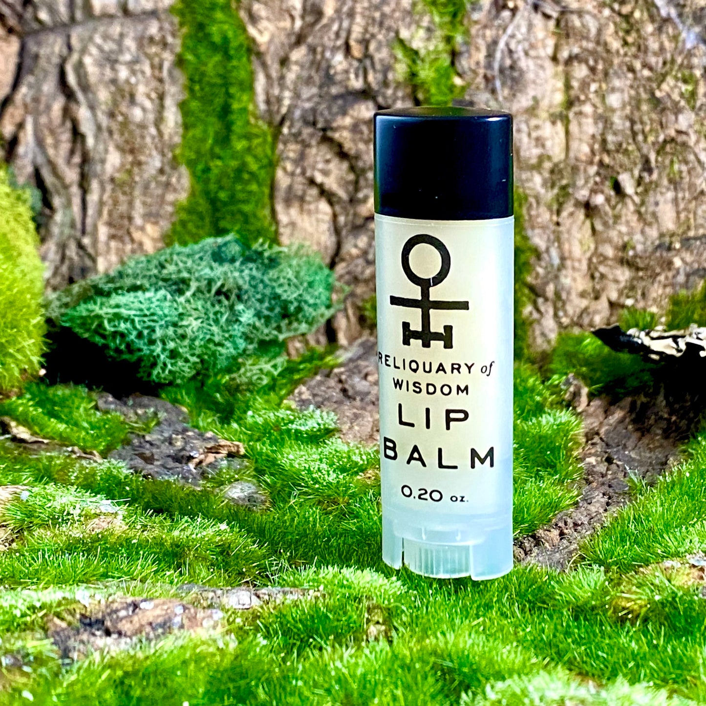 Educator Dale Bushbean Lip Balm